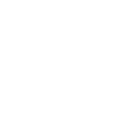 paint paint